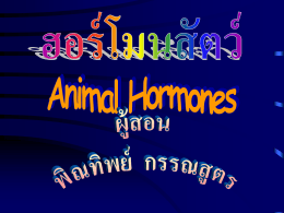 ฮอร์โมนสัตว์ Animal Hormones