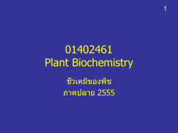 PowerPoint - ชีวเคมี กำแพงแสน Biochemistry KU KPS