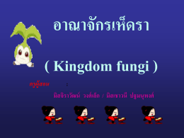 kingdom_fungi