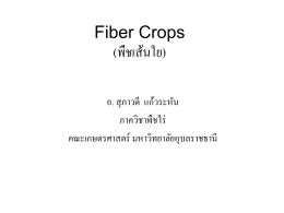 Fiber Crops (พืชเส้นใย) - คณะเกษตรศาสตร์ มหาวิทยาลัยอุบลราชธานี