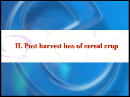 post harvest part2
