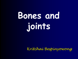 Classification of bone