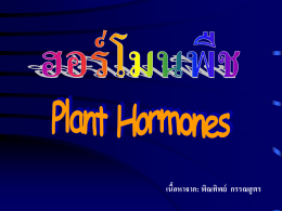 ฮอร์โมนพืช (Plant Hormones)