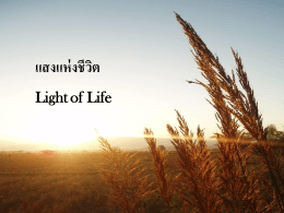 แสงแห่งชีวิต Light of Life ความงามของกรุงเทพยามค่ำคืนกับแสงไฟหลาก