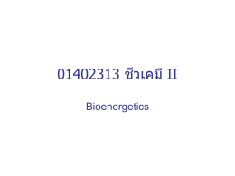 01402313 ชีวเคมี II - ชีวเคมี กำแพงแสน Biochemistry KU KPS