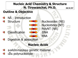 Nucleic acid chemistry
