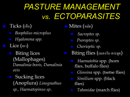 PASTURE MANAGEMENT vs. ECTOPARASITES