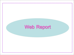 Web Report