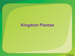 kingdom plantae 1