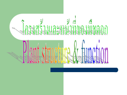 โครงสร้างและหน้าที่ของพืชดอก file