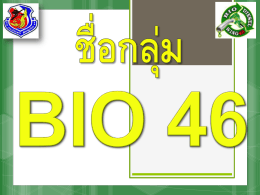 biodiesel46 - กองทัพอากาศ