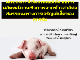 Sample PPT Thai
