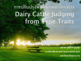 การปรับปรุงพันธุ์ลักษณะโครงร่าง Dairy Cattle Judging from Type Traits