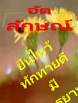 ดาวน์โหลดไฟล์แนบ