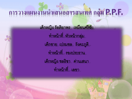 การวางแผนงานนำเสนอสารสนเทศ กลุ่ม PPF