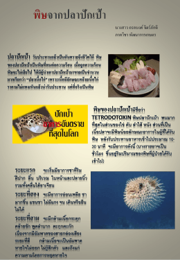 ปลาปักเป้า รับประทานแล้วเป็นอันตรายถึงชีวิตได้ พิษ