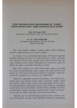 Bu PDF dosyasını indir