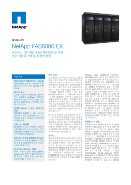 NetApp FAS8080 EX