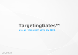 TargetingGates&trade; 상품소개서