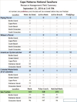 Current Report - Island Free Press