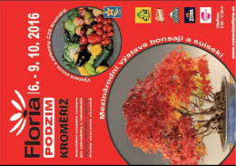 Fotografie na celou stránku