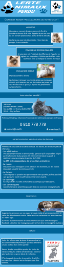 animaux-perdustrouves-conseil-retrouver-son-chat