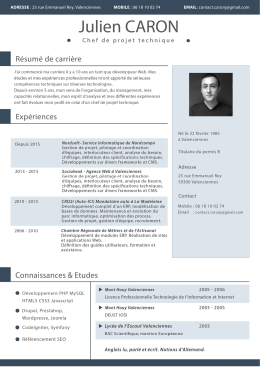 T&eacute;l&eacute;charger mon CV au format PDF