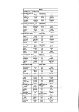 Equipes v1 - Passion pony games