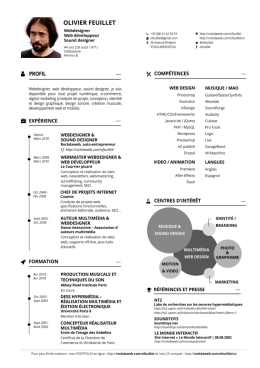 T&eacute;l&eacute;charger le CV - Designers Interactifs