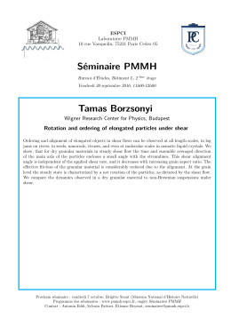 Séminaire PMMH Tamas Borzsonyi