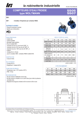 5505 - LRI, la robinetterie industrielle