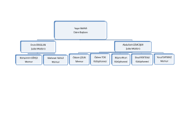 Organizasyon( Teşkilat) Şeması