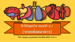 การย่อยอาหาร (Digestion)