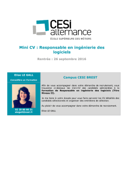 Mini CV : Responsable en ingénierie des logiciels - cesi