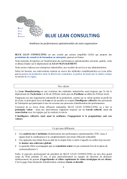 blue lean consulting - E