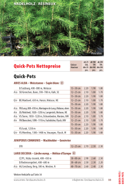 Quick- Pot Nadelholz Pflanzen 2016/2017