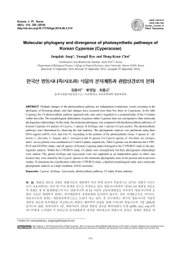 한국산 방동사니족(사초과) 식물의 분자계통과 광합성경로의 분화