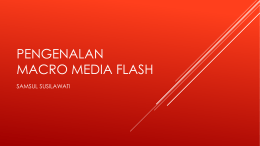Macro media flash
