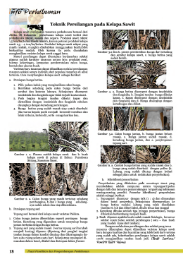 Page 1 7fö"Perkebunan : Kelapa sawit merupakan tanaman