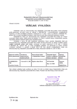 VV V-20689/2016-702