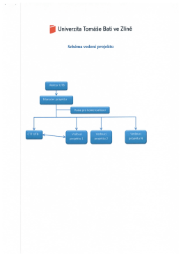 Př&iacute;loha č. 1