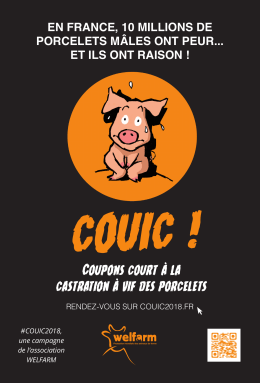 affiche Couic2018
