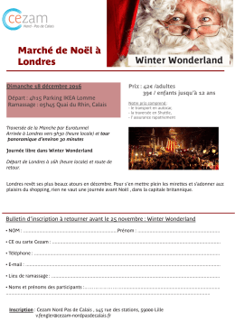Winter Wonderland Marché de Noël à Londres