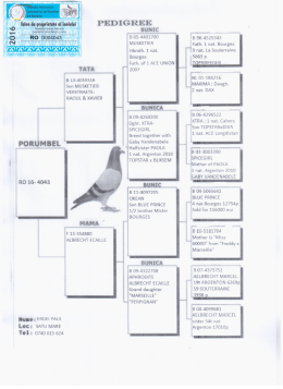 Page 1 Enc Pº | Talon de proprietate ulinelului | Proprietaruldcestui