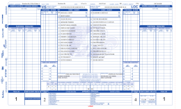 game sheet - Ligue Elite du Richelieu AA