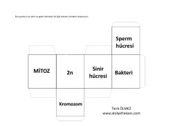 Mobil için PDF hali - Fen Okulu |www.fenokulu.net