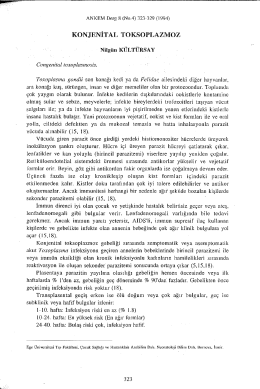 Page 1 ANKEM Derg 8 (No4) 323