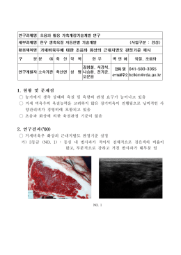 많고 부분적으로 강하고 거친 반사파가