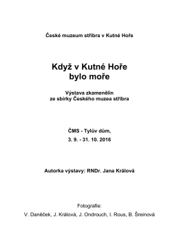 ve formátu pdf - České muzeum stříbra Kutná Hora