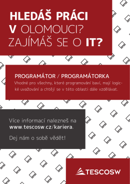 Inzerát - Programátor